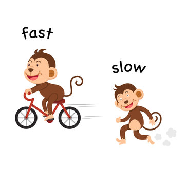 Opposite fast and slow vector illustration