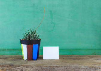 Plant and paper
