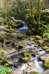 Kot stream a little creek in Natisone valley