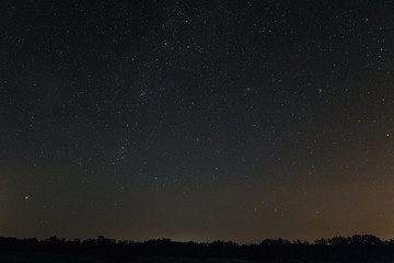 Fototapeta na wymiar Starry night over the horizon with trees. Night landscape.