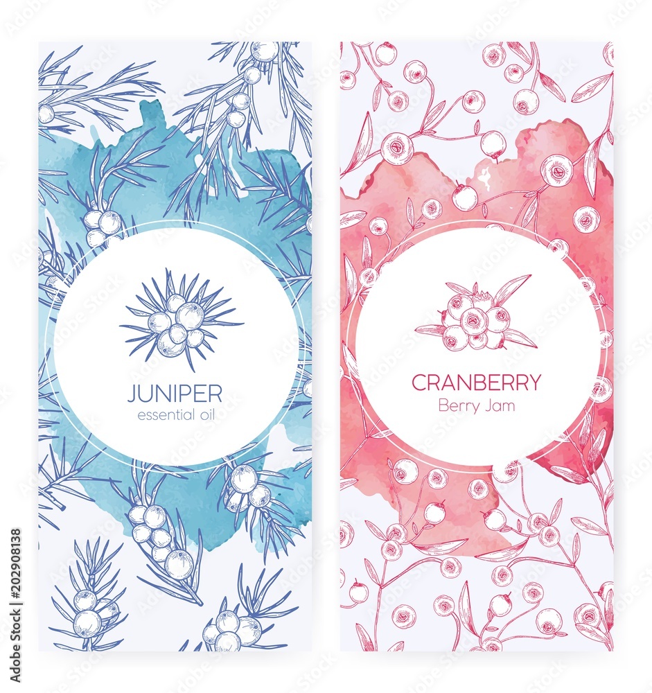 Poster bundle of banner templates with juniper and cranberries drawn with contour lines on pink and blue ba