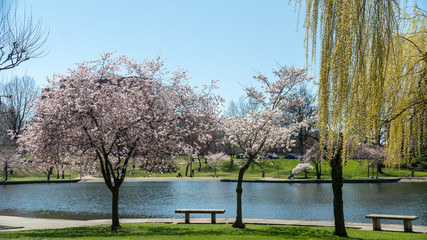 Cleveland University Circle Pond Art Museum