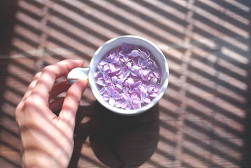 White cup full of lilac flowers in a hand over blinds shadow texture