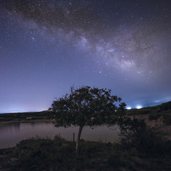 Fototapeta na wymiar Milky way tree