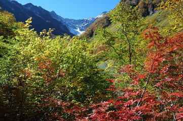 colorful autumn leaves on the trekking course @KAMIKOCHI / 上高地 涸沢への登山道の三段紅葉
