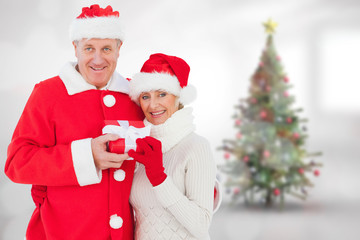 Festive mature couple holding gift against blurry christmas tree in room