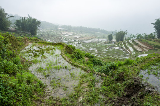 Landscape and rice terraces near Sapa, Vietnam.