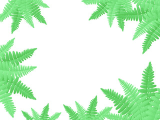 Frame of fern on white background. Fern frond frame. Vector illustration.