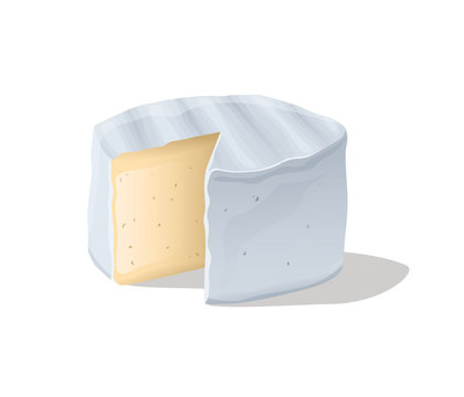 Soft camembert cheese block. Vector illustration
