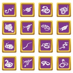 Snake icons set vector purple square isolated on white background 