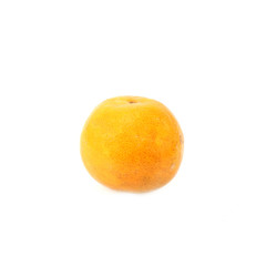 Orange on a white background
