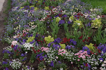 Blumenbeet