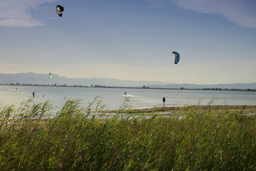 Ebro delta landscape