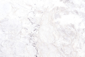 Obraz premium white marble texture for background.