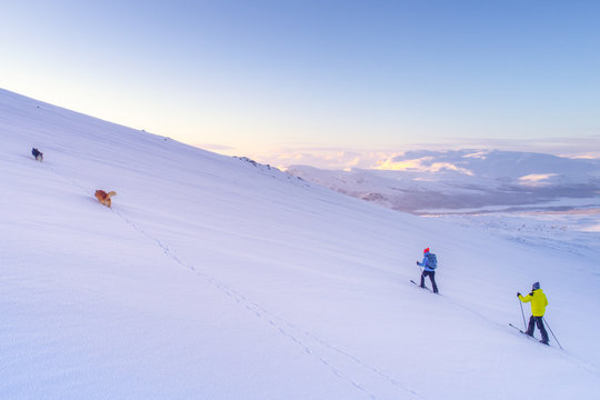 skiing in the arctic mountains 