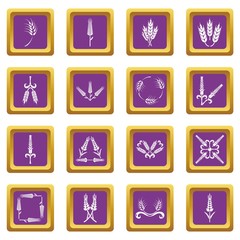 Ear corn icons set vector purple square isolated on white background 