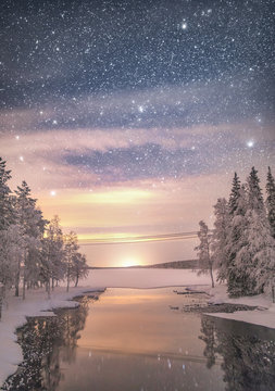 View of forest against starry sky during winter