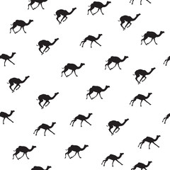 Seamless pattern with camels. Wallpapers camels. Black camel pattern on white background