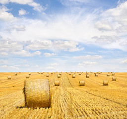 Fototapeta na wymiar Field with straw bales after harvest on a background cloudy sky