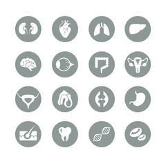 Medical flat one color internal human organs icons collection