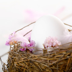 Egg in the nest with pink flowers and feather on white table