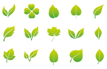 Set of green leaves in a flat style