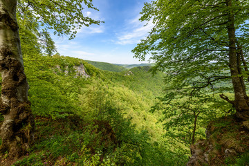 Fototapeta premium Hiking in beautiful landscape of Bad Urach, Swabian Alb, Baden-Wuerttemberg, Germany, Europe