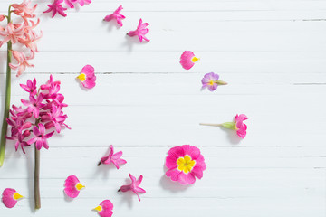 pink spring flowers on white wooden background