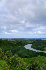 Fototapeta na wymiar カウアイ島のハイウェイからのの眺め