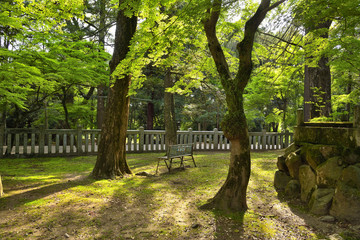 Fototapeta na wymiar 奈良公園のベンチ