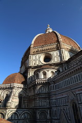 Fototapeta premium Firenze (Santa Maria in Fiore)