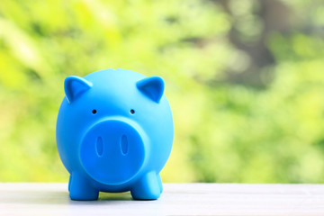 Fototapeta premium Saving money for prepare in future concept, Blue piggy bank standing on natural green background