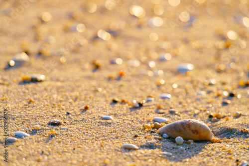 Closeup Beautiful Photo Of Sand With Stones And Seashell On