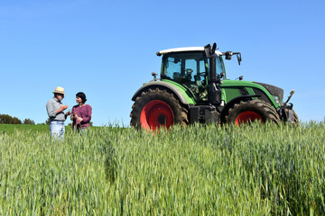 couple of farmers in a wheat field with a tractor