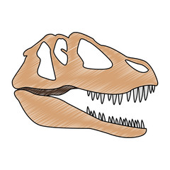 Dinosaur skull isolated vector illustration graphic design