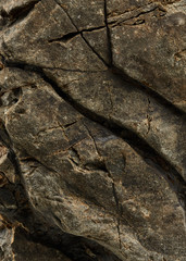 Textured surface of rock
