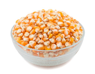 Healthy Dried Corn Seeds Also Know as Makki, Maize Seed or Corn Bean Isolated on White Background