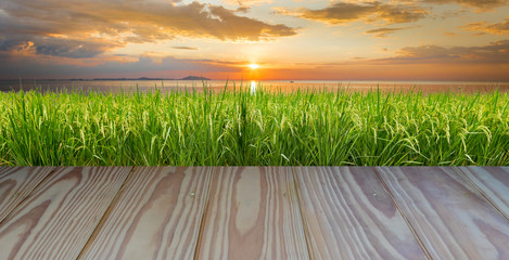 Green rice field with wooden floor foreground and seaside background.