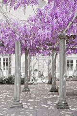 Fototapety na wymiar - Fototapeta24.pl