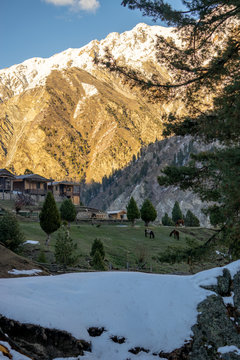 Horses is eating grass in front of wooden house in Fairy Meadows with high snow cap mountain background