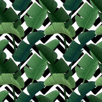 Hand drawn vector seamless pattern with green banana palm leaves on the zig zag striped geometric black and white background. Summer tropical print.