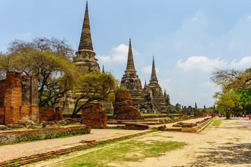 Fototapeta premium The oldest and most beautiful pagoda in Ayutthaya.among trees