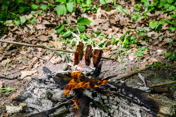 pieces of backon are fried on a fire in the forest