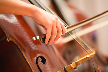 Cello player performing in a symphony orchestra