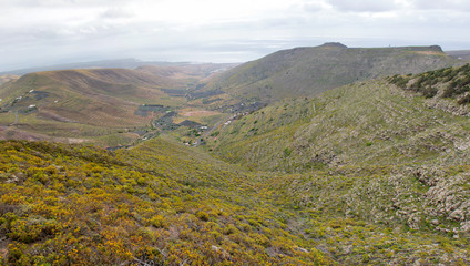 Fototapeta na wymiar Mirador del Valle de Malpaso Haria Lanzarote Kanaren island Spain