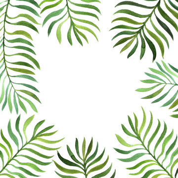 background with watercolor fern leaves