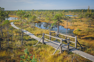 Great Kemeri Bog Boardwalk, Kemeri National Park, Latvia. Popular tourist destination. Top point photography. - obrazy, fototapety, plakaty