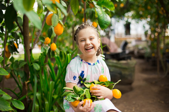 Beautiful little happy girl in colorful dress in lemon garden Lemonarium picking fresh ripe lemons in her basket