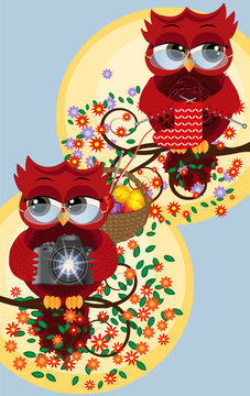 A red sweet owl wearing glasses and with a camera sits on a flowering tree branch, her owl girlfriend knitting a sock. Photo business, photographer, vocation, profession