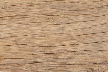 close up of old wooden trunk texture